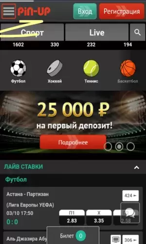 скачать пин ап