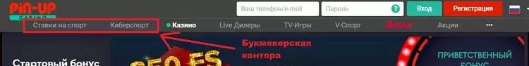 скачать пин ап бесплатно на телефон