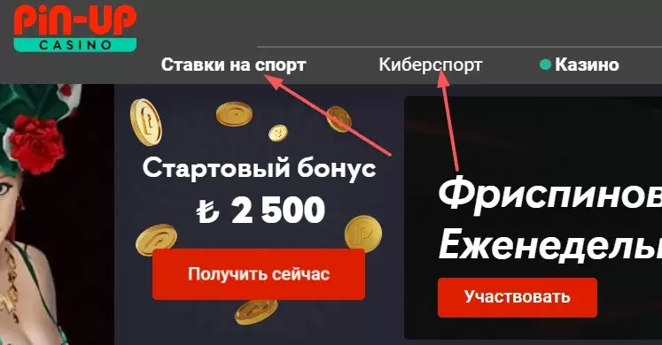 Ставки на спорт Pin-Up