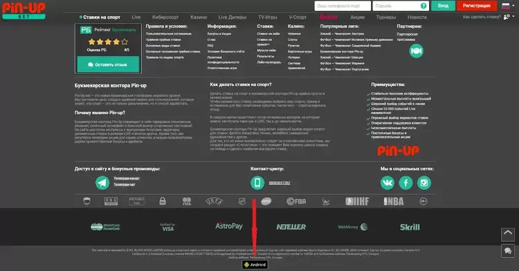 мобильное приложение Pin Up