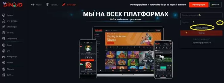 Скачать Пин Ап приложение Скачать Пин Ап приложение