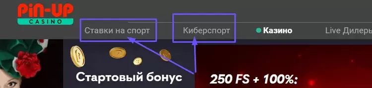 Ставки на спорт Pin-Up