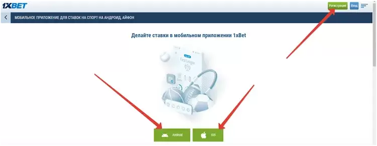 Приложение 1xBet на Android и iOS