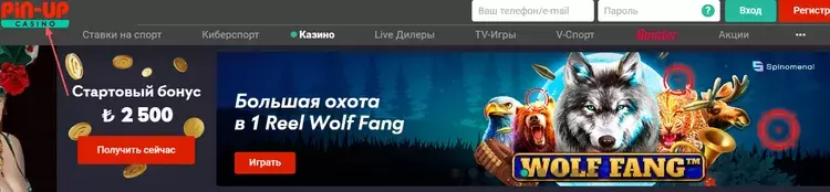 Стартовый бонус Pin-up казино Стартовый бонус Pin-up казино