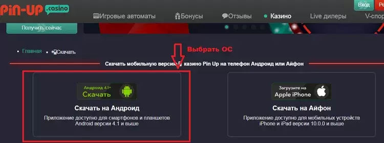 мобильное приложение пин ап