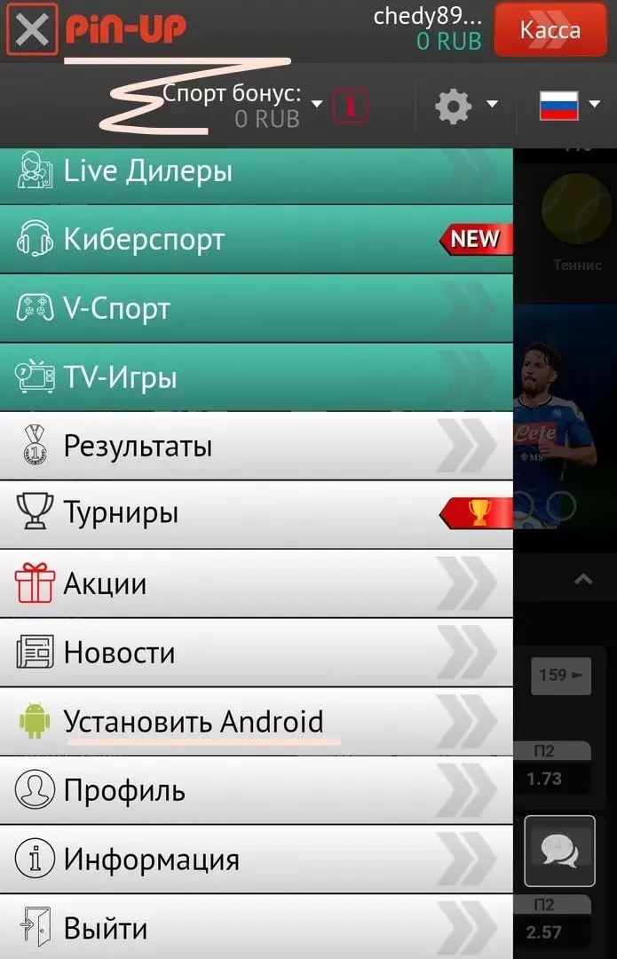 Мобильное приложение пинап