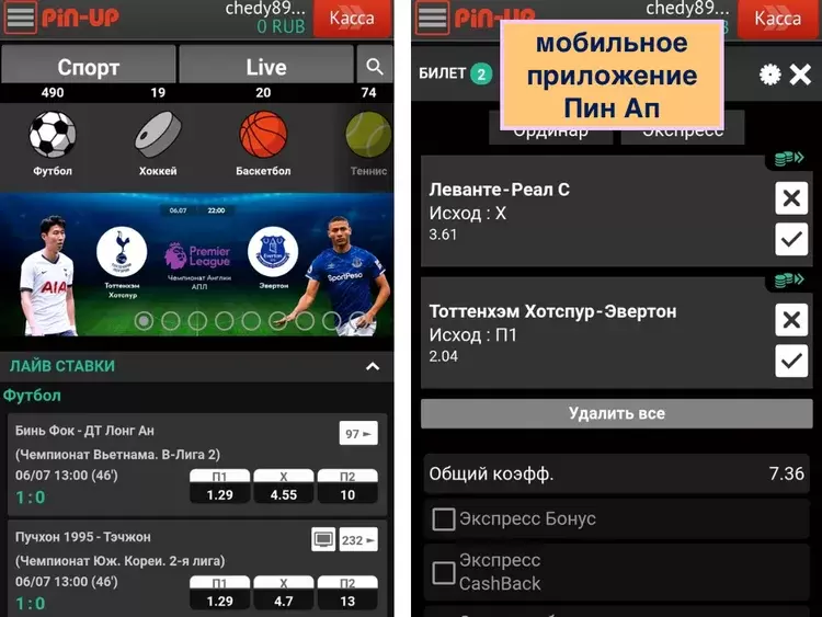 Мобильное приложение пинап