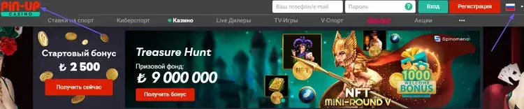 Стартовый бонус Pin Up Стартовый бонус Pin Up