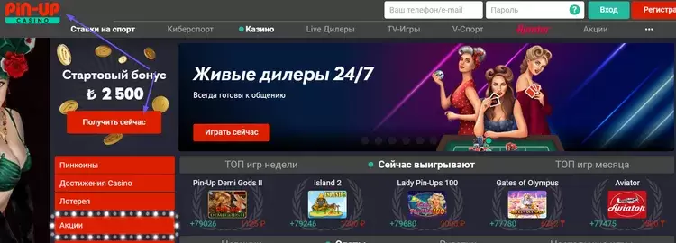 Пинап живые дилеры