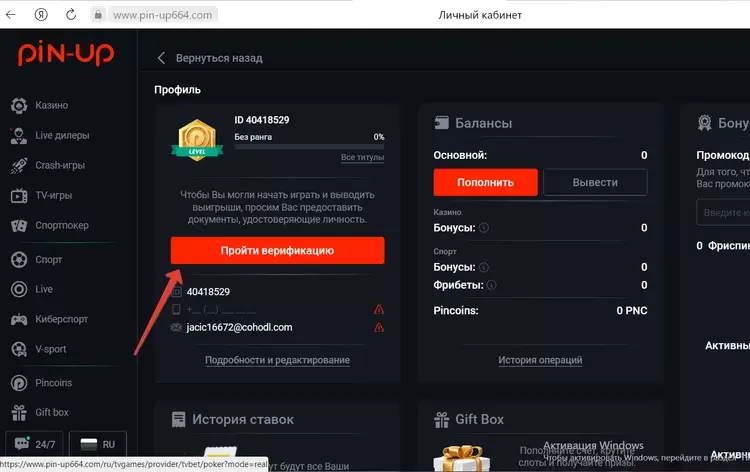 Рабочее  пинап
