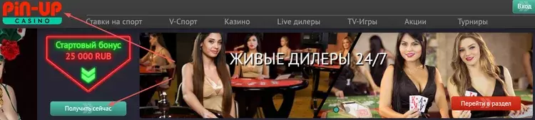Пинап живые дилеры