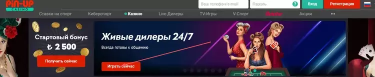 Пинап казино: игры с живыми дилерами Пинап казино: игры с живыми дилерами