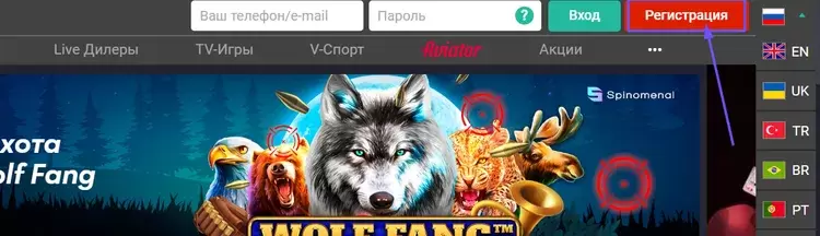 Стартовый бонус Pin Up
