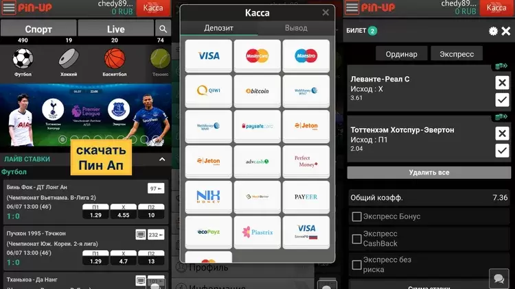 Мобильное приложение пинап