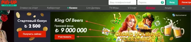 Стартовый бонус Pin Up