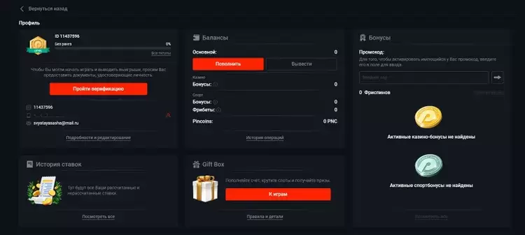 бк пин ап ставки на спорт